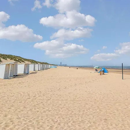 Awesome In With Wifi דירה *