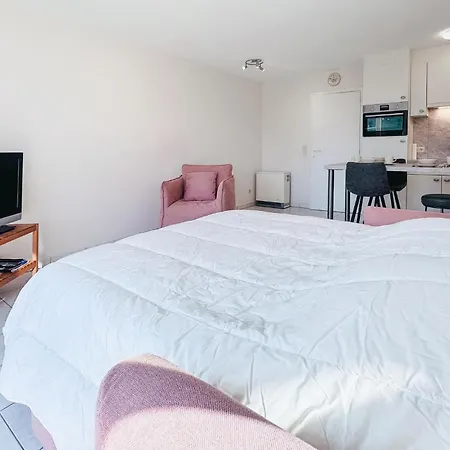 świetny W Z Wifi Apartament Bredene